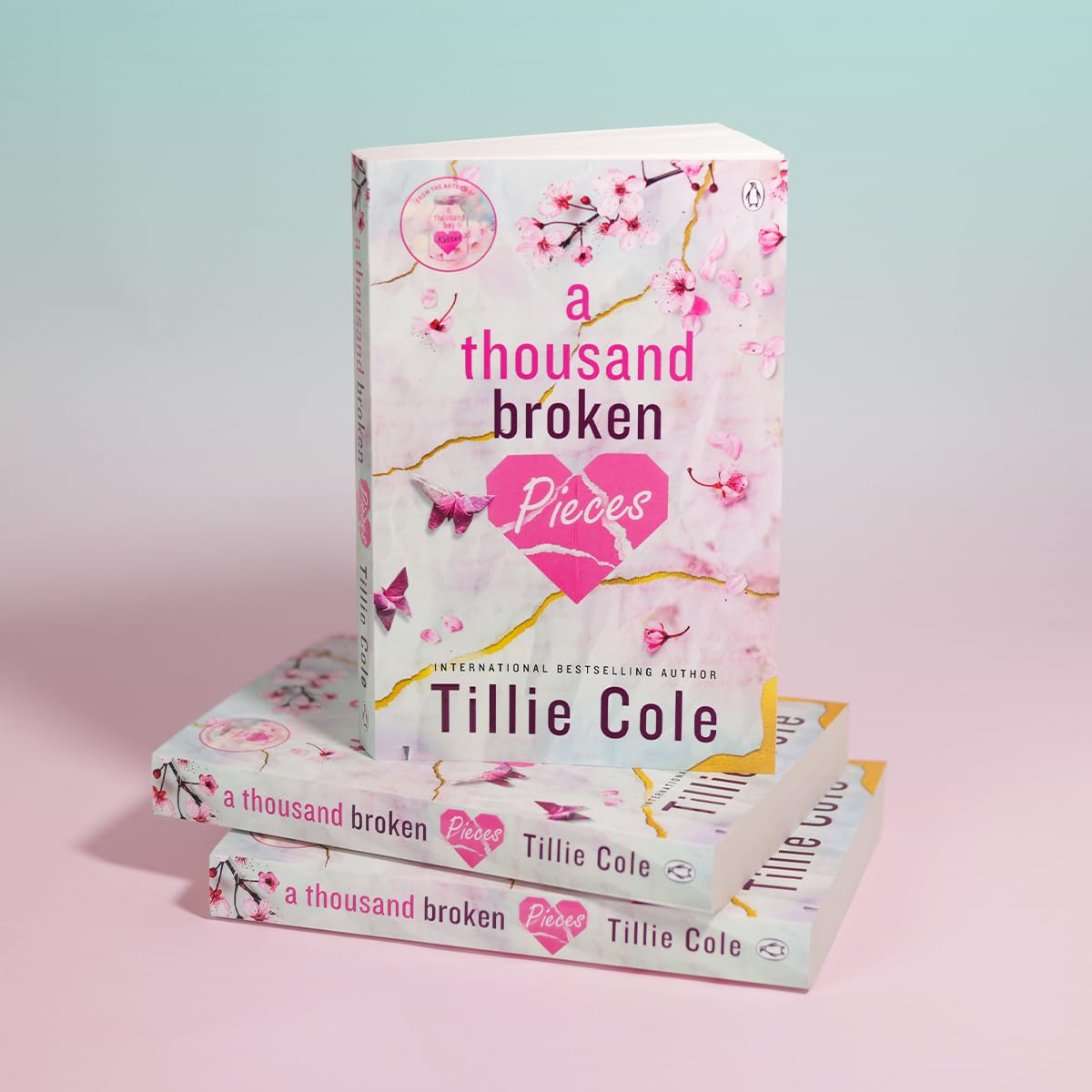 A Thousand Broken Pieces