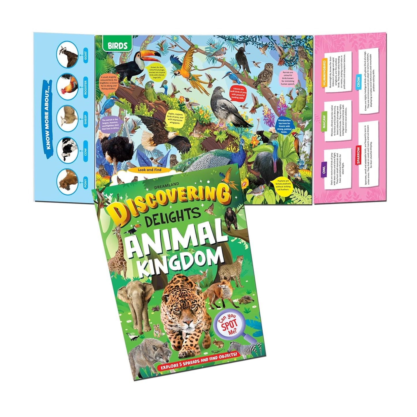 Discovering Delights Activity Book Pack – for Kids Ages 4-10 yrs