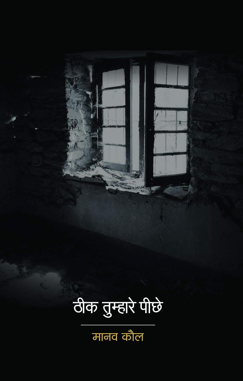 Theek Tumhare Peechhe - Hindi